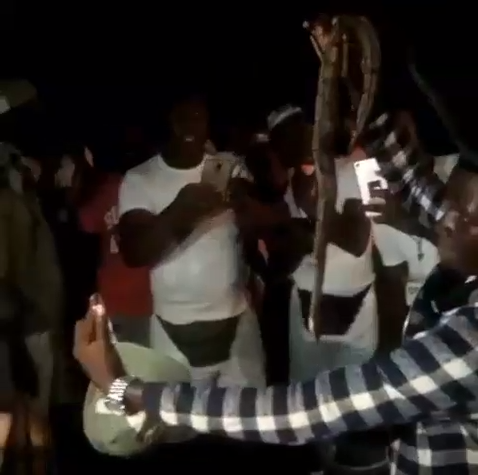 Kogi corps members pose with snake found inside toilet in Kogi orientation camp (video)