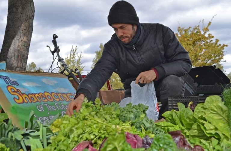 ‘It is actually free’: Montreal man gives away heaps of farm-fresh veggies every week