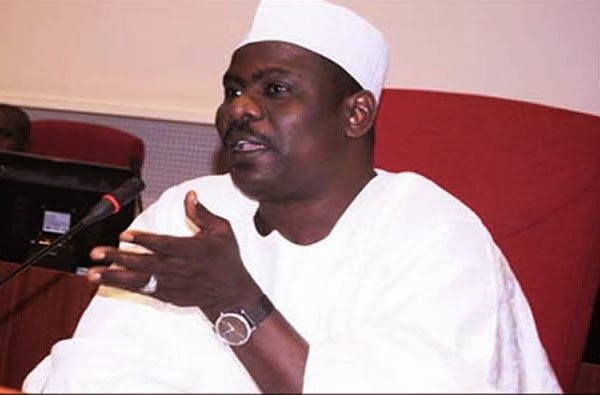 2019 election: Senator Ndume speaks on INEC creating polling units in Chad, Niger to favour Buhari