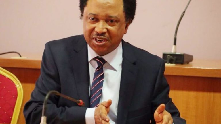 2023 presidency: Why North’ll be ungrateful to hold onto power after Buhari – Shehu Sani