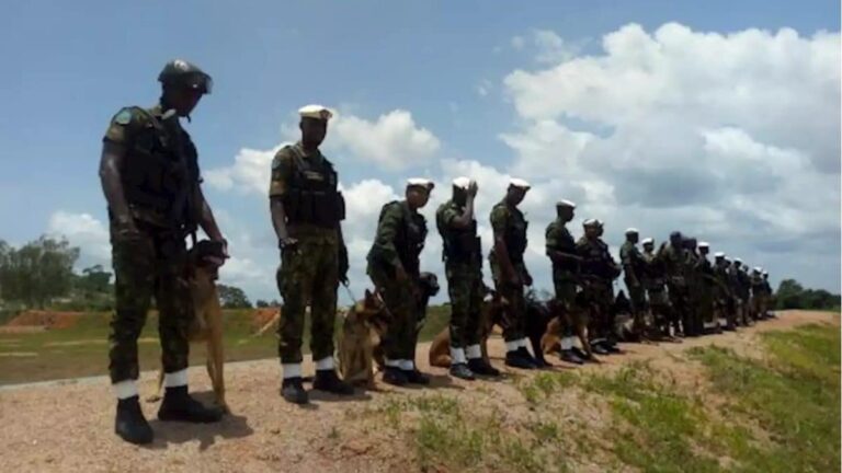 Nigerian Air Force deploys military dogs for operations