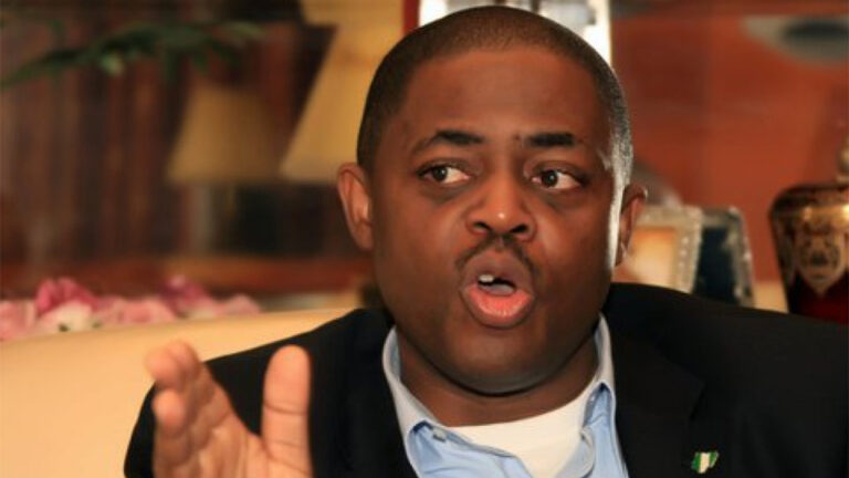 Xenophobia: Fani-Kayode attacks South Africa’s Foreign Minister