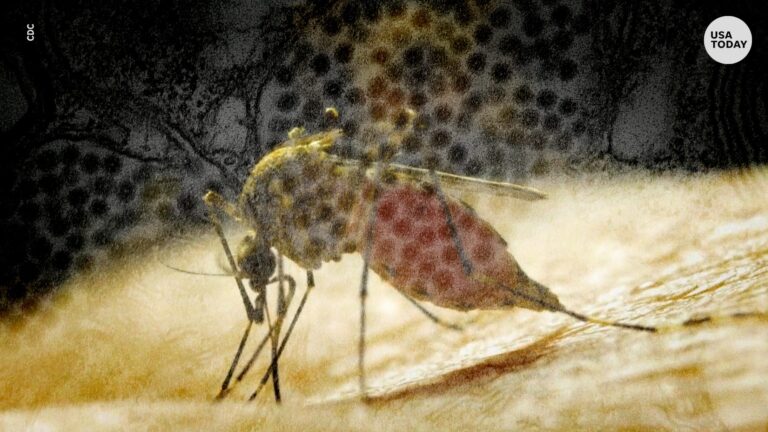 Breaking news: Diseases like West Nile, EEE and flesh-eating bacteria are flourishing due to climate change