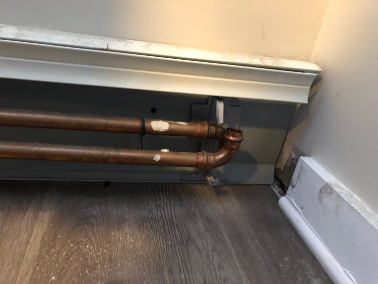 Pair sues landlord after family pets 'steamed to fatality' when radiator pipe ruptureds