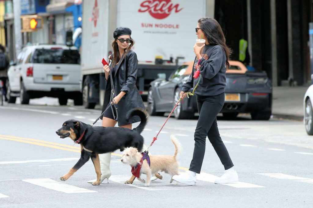 emily ratajkowski in white boots and black leather coat walking her dog colombo in new york 6
