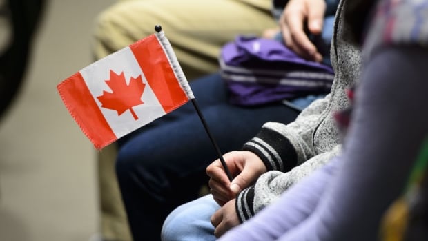 Liberal promise to wipe out citizenship costs would certainly cost $100M a year