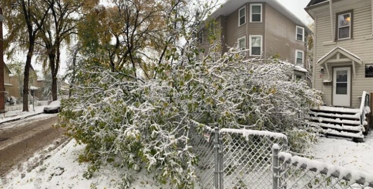 Manitoba Hydro, city crews race to clean up mess after storm pummels southwest
