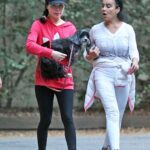 miranda cosgrove out with her dog penelope in la 5