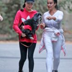 miranda cosgrove out with her dog penelope in la 6