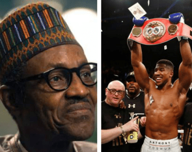 we are with you senator ben bruce calls on president buhari to show support to anthony joshua ahead of his rematch with ruiz