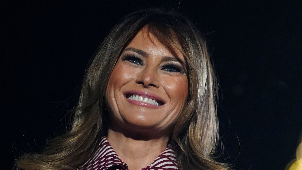 How much was Melania Trump worth before she married Donald?