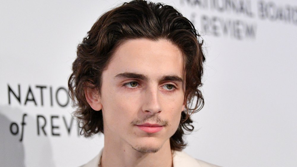 how timothee chalamet spent his first real paycheck