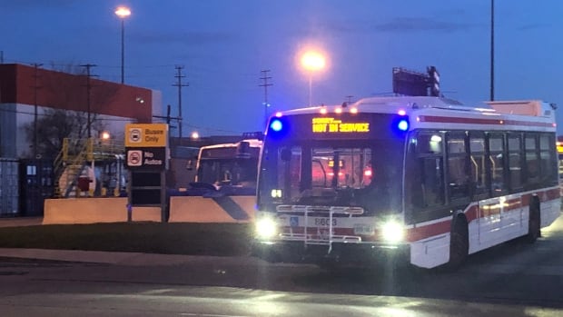 33 TTC bus drivers walk off job because of concerns about COVID-19
