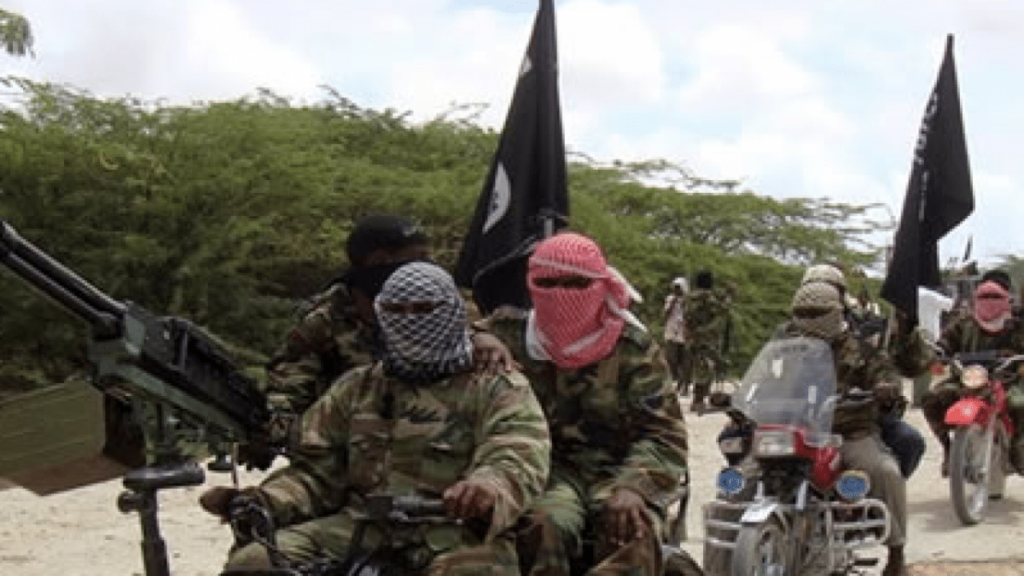 nigeria news boko haram insurgents attack adamawa village destroy houses loot shops