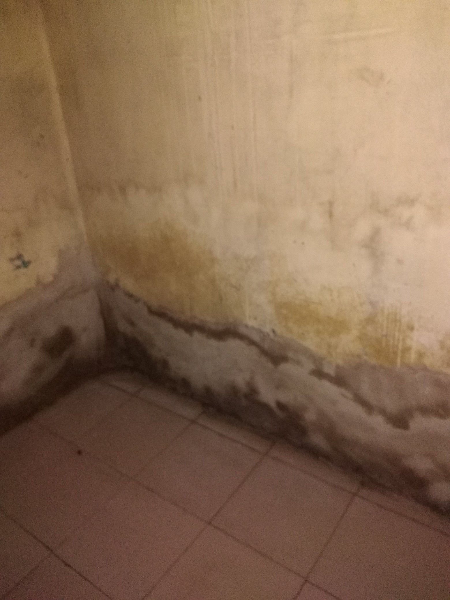 nigerian lawyer shares photos to show the state of an apartment a landlord in aguda is renting for 350000 4