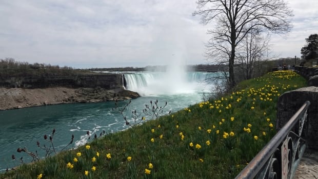 Niagara Falls lights to be shut off in ‘solidarity and support for the Black community’