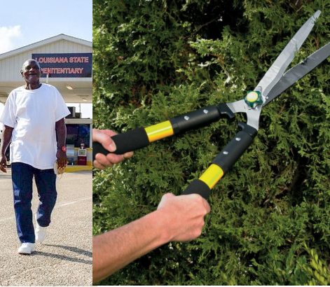 Man sentenced to life imprisonment for stealing set of hedge trimmers is freed after spending 23 years in prison