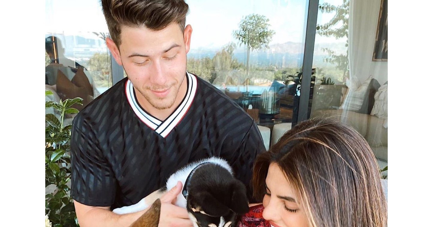 Nick Jonas, Miley Cyrus, Selena Gomez and More! Stars Adopting or Fostering Pups Amid Coronavirus
