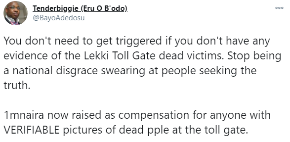 canada based nigerian researcher raises n1 125million reward to anyone with evidence of casualties from the lekki tollgate incident 3