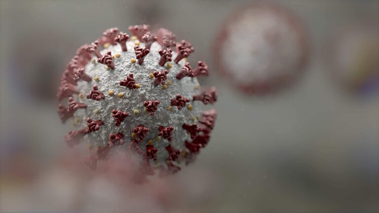Canada hesitates to update public health guidelines on risk from coronavirus variants