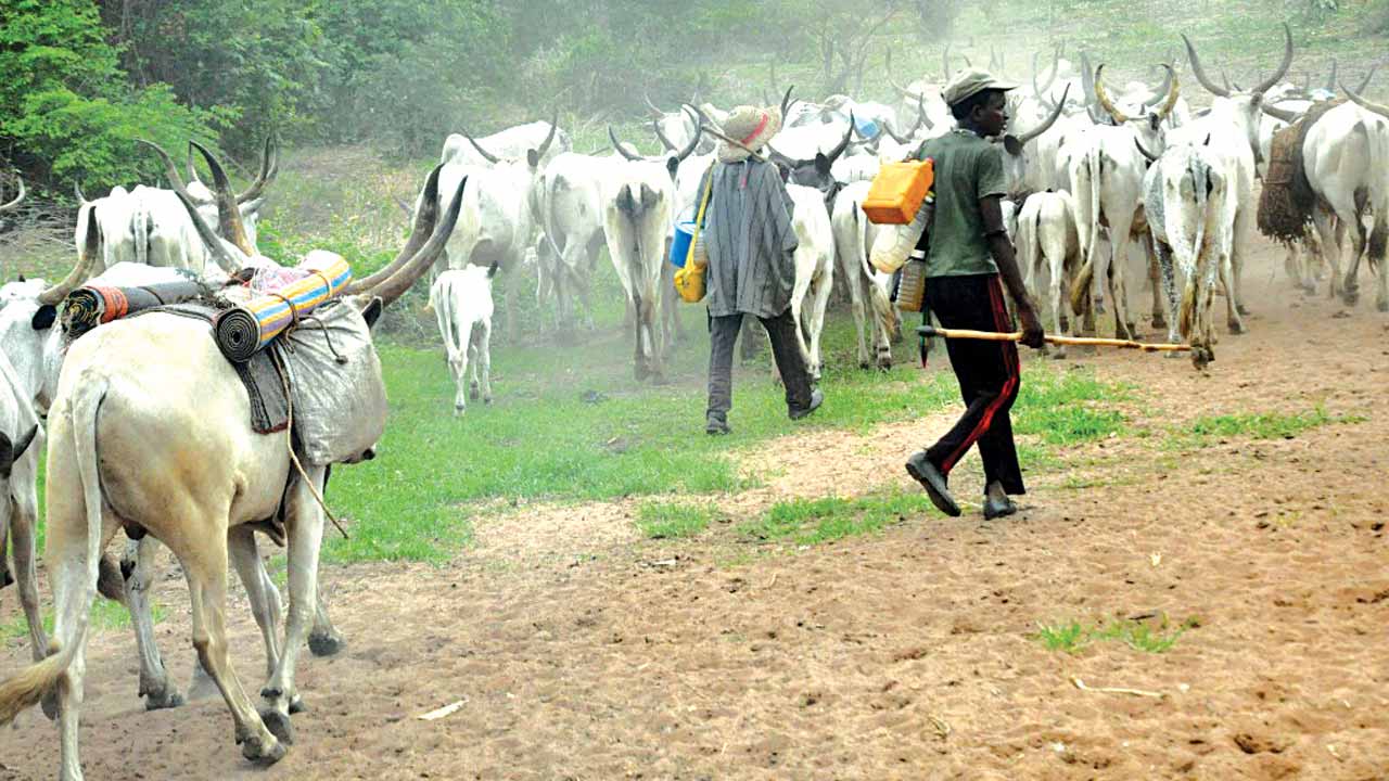 nigeria news eviction weve started relocating to kano fulani herdsmen