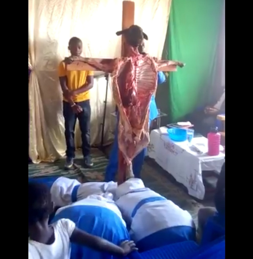 Church members seen bowing to a dead goat nailed to a cross (video)