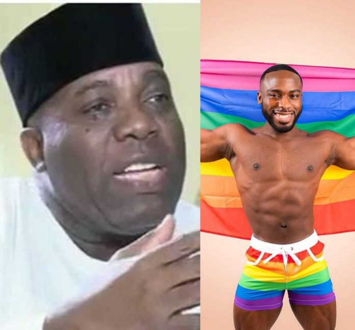 My son Bolu is on a sojourn to the gay community to be an instrument of God - Doyin Okupe