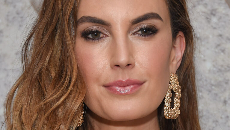 How Elizabeth Chambers Is Doing Throughout The Armie Hammer Drama