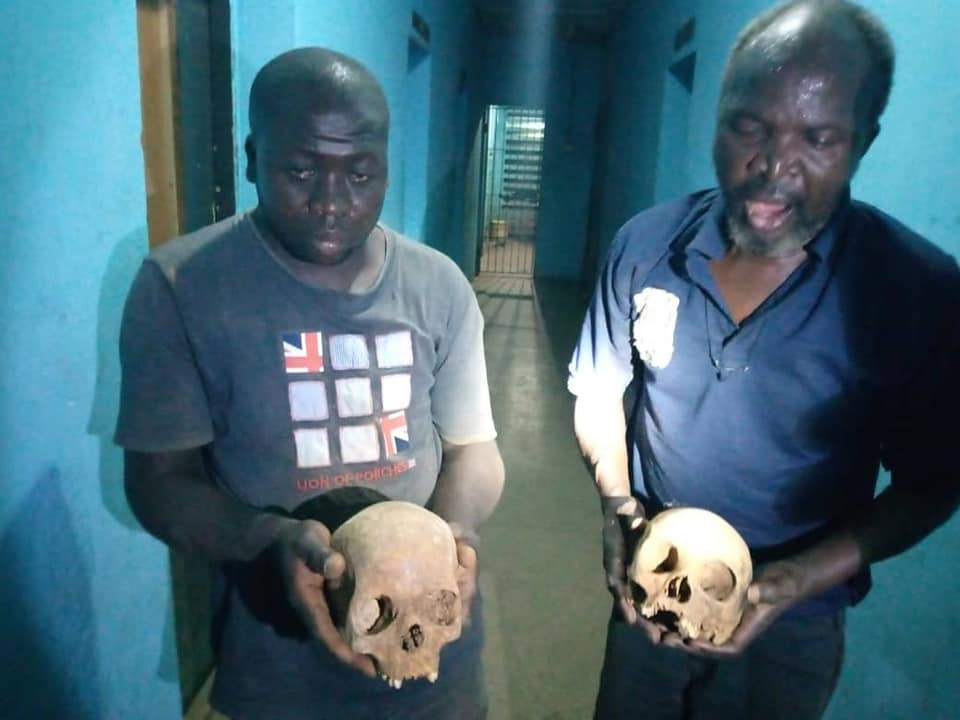 two suspected ritualists nabbed with human skulls at muslim cemetery in kaduna