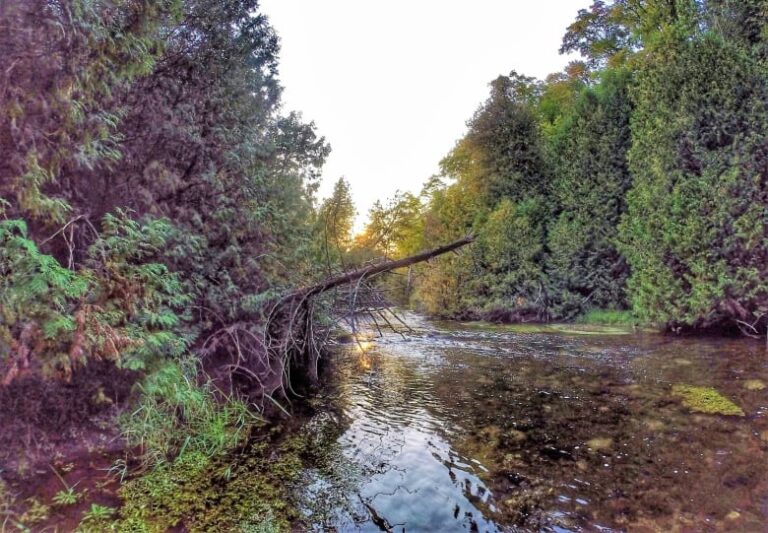 Key decision coming soon in fight over ‘crown jewel’ of southern Ontario trout streams