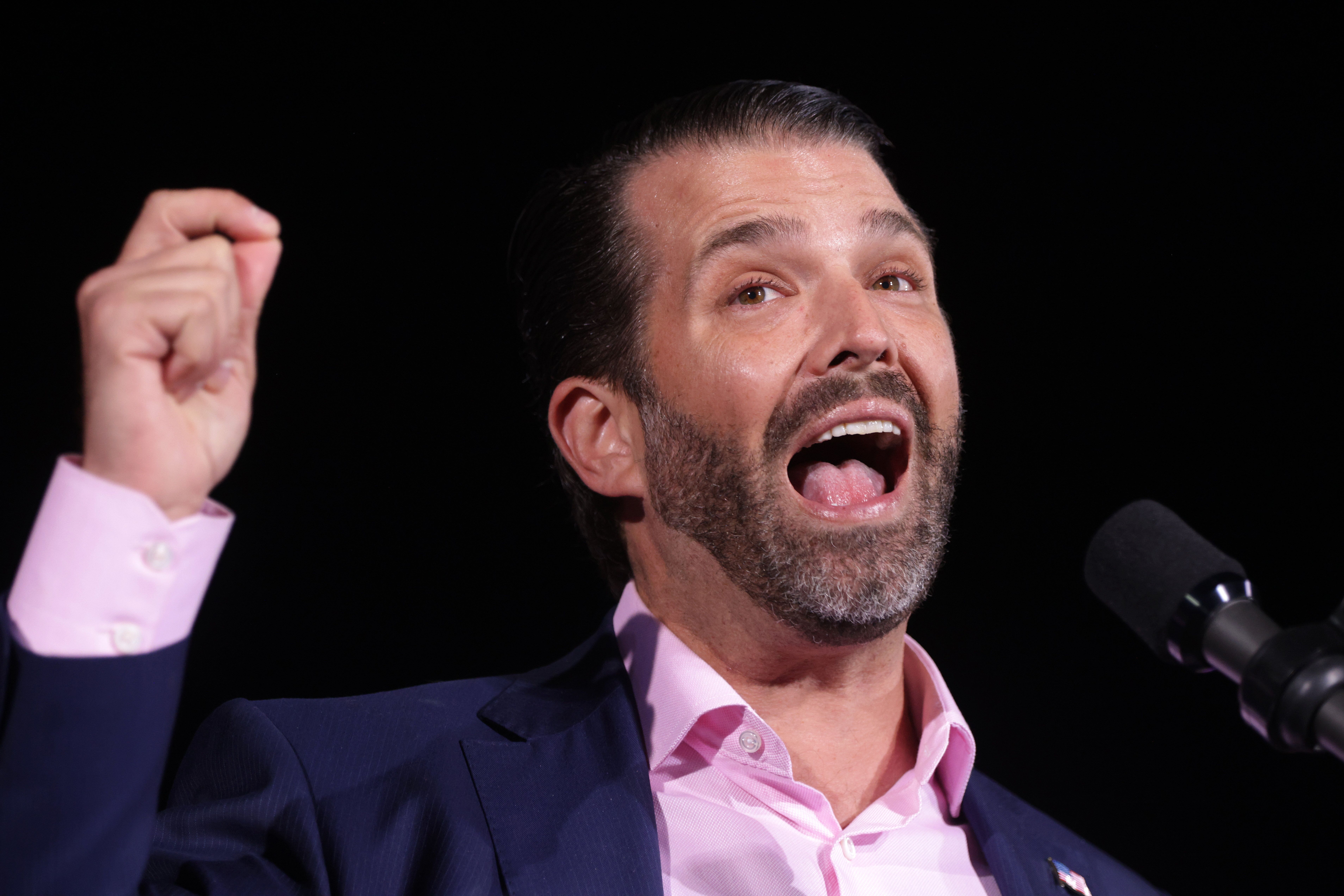 Donald Trump Jr. Concedes Felony Count In Indictment Against Dad's Company Is True