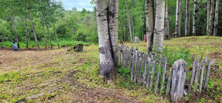 Lac La Ronge Indian Band begins search for residential school graves, with ‘a lot of work ahead’