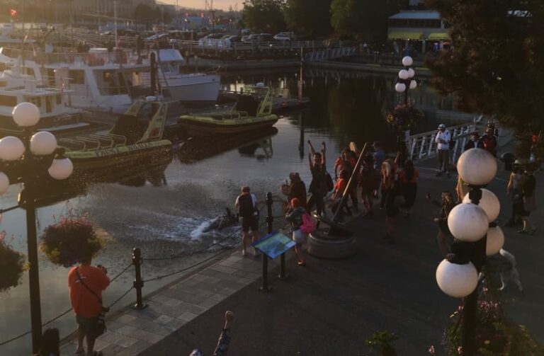 Protesters toss statue of explorer James Cook into Victoria harbour; totem pole later burned