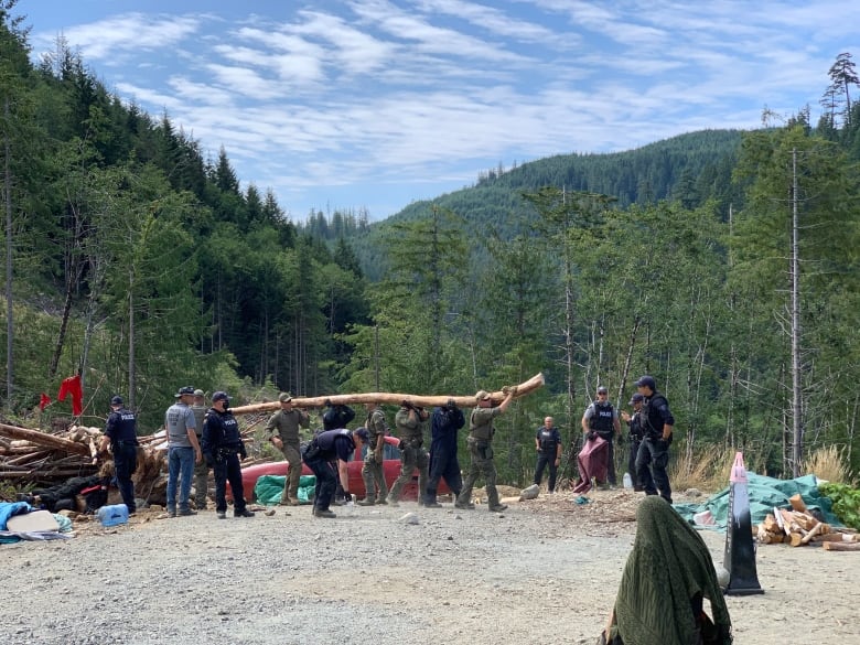 arrests on the rise at protests against old growth logging on southern vancouver island 1