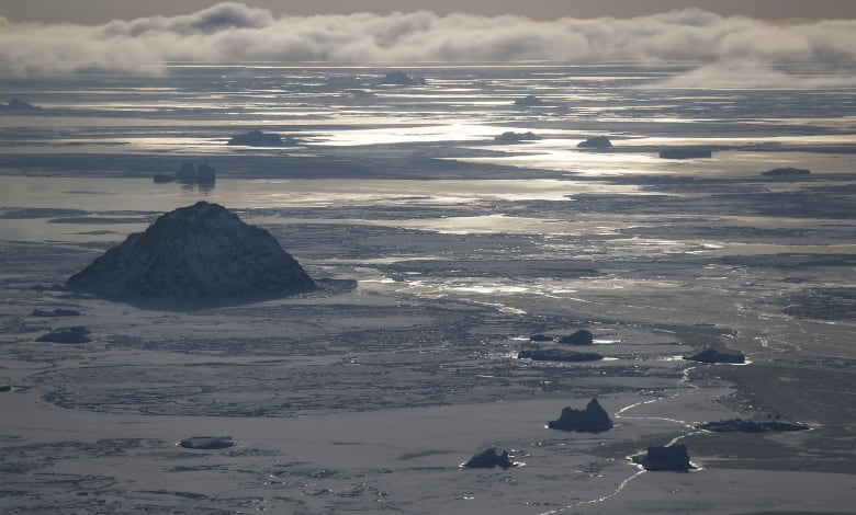 climate change puts north water polynya a source of arctic life in imminent danger 3