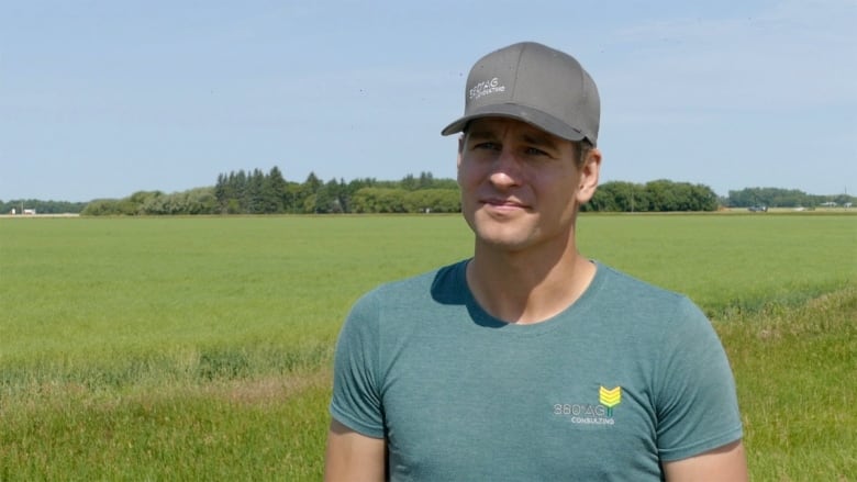 Crop-destroying grasshoppers chewing away at Manitoba farmers' livelihoods