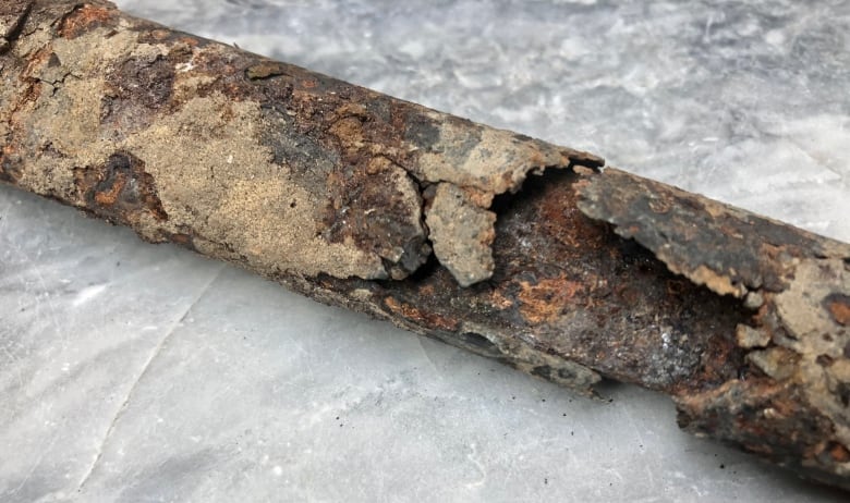 ottawa family has mystery on its hands after sword unearthed in backyard by contractors 1