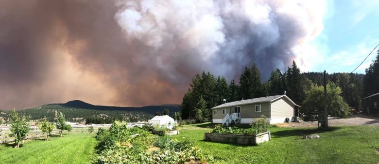 Soot, ash fall on parts of B.C. as strong winds fan wildfire flames