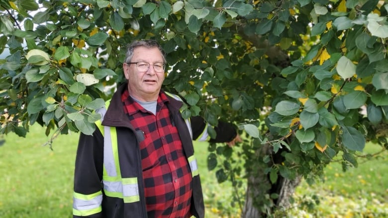 Meet the Keswick Ridge, N.B., farmer growing apples as old as King Louis XIII