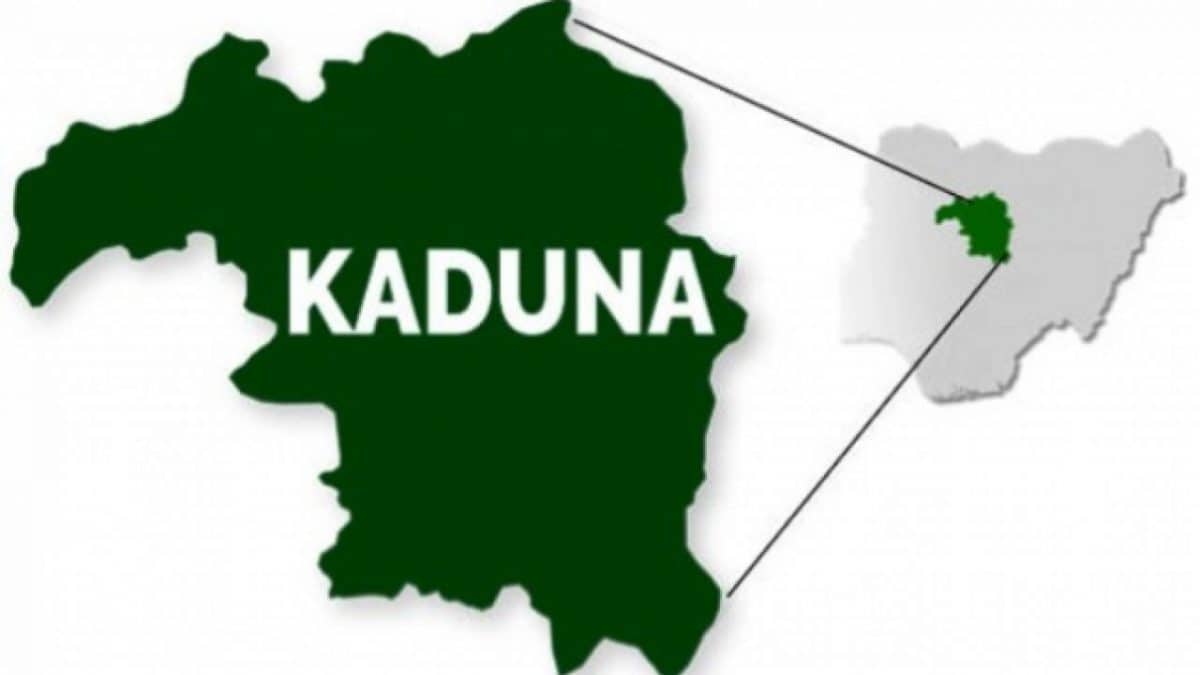 Outcry in Kaduna over suspension of firewood, charcoal for cooking