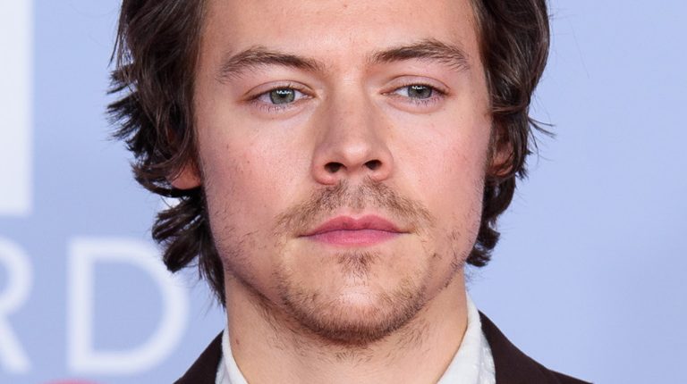 The Truth About Harry Styles’ Sexy Marvel Role