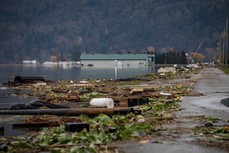fraser valley farmers wont know for weeks how floodwaters have affected prized soil 2