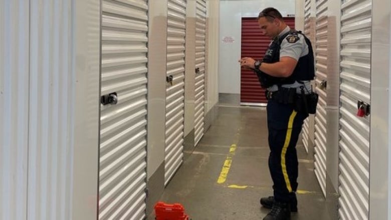 Got something in self storage? What you need to know amid rising thefts