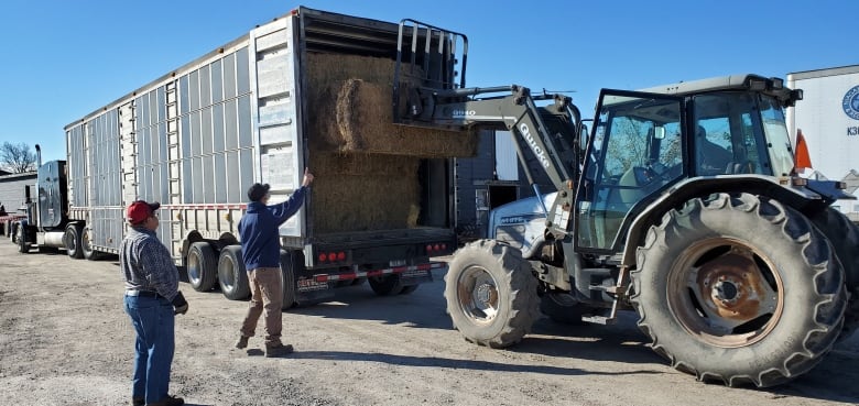 Ontario farmers sending hay to drought-stricken Saskatchewan farms