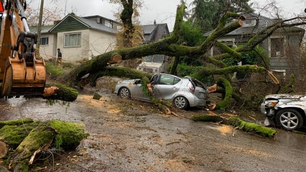 Powerful winds to wallop B.C.'s South Coast in aftermath of Vancouver tornado