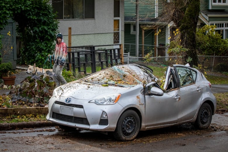 Tornado moved through University of British Columbia in weekend storm, officials confirm