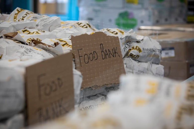 Toronto food banks record highest number of visits ever during pandemic, new report says