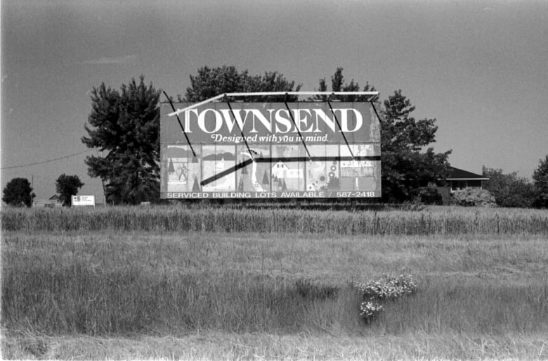 What other cities can learn from development of Townsend, Ont. — a planned 'utopia' gone wrong