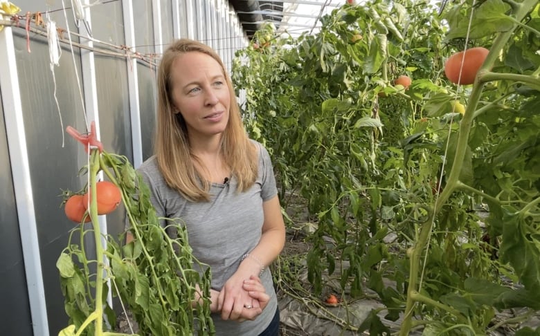 A former geologist imports a popular Chinese model to grow veggies year-round in Alberta's harsh climate