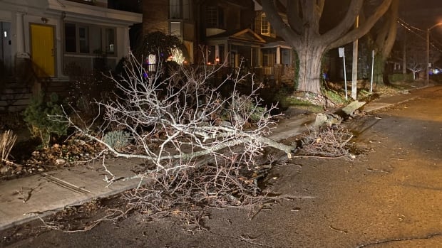more than 200000 without power as high winds blow through southern ontario